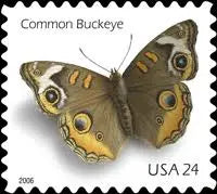 2006 US Common Buckeye Butterfly set of 5booklets Stamps