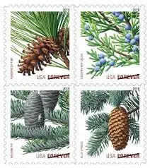 2009 Holiday Evergreens set of 5booklets Stamps