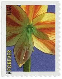 2014 Winter Flowers set of 5booklets Stamps
