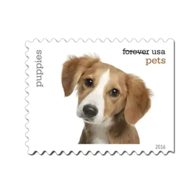 2016 US Pets set of 5booklets Stamps