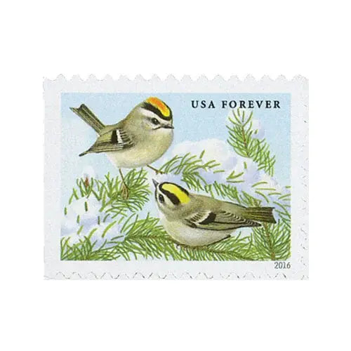 2016 US Songbirds in Snow set of 5booklets Stamps