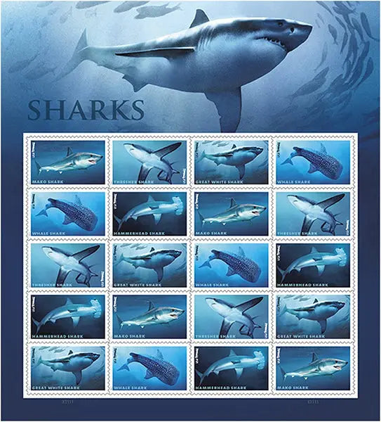 2017 US Shark set of 5booklets Stamps