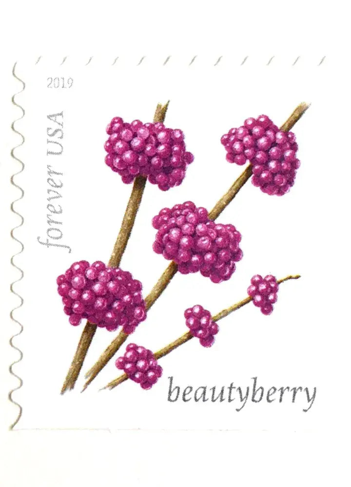2019 US Winter Berries set of 5booklets Stamps