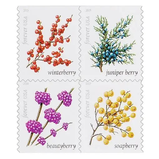 2019 US Winter Berries set of 5booklets Stamps