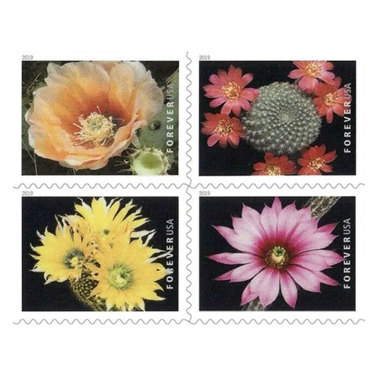 2019 US Cactus Flowers Forever First Class Postage set of 5booklets Stamps