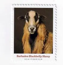 2021 US New Heritage Breeds set of 5booklets Stamps