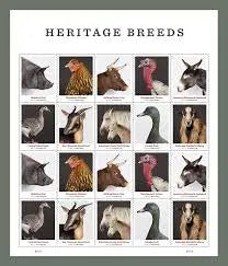 2021 US New Heritage Breeds set of 5booklets Stamps