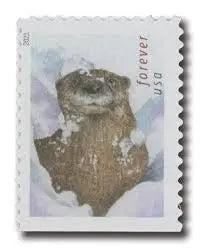 2021 US Otters in Snow Forever Postage set of 5booklets Stamps