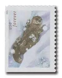 2021 US Otters in Snow Forever Postage set of 5booklets Stamps