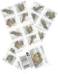 2021 US Otters in Snow Forever Postage set of 5booklets Stamps