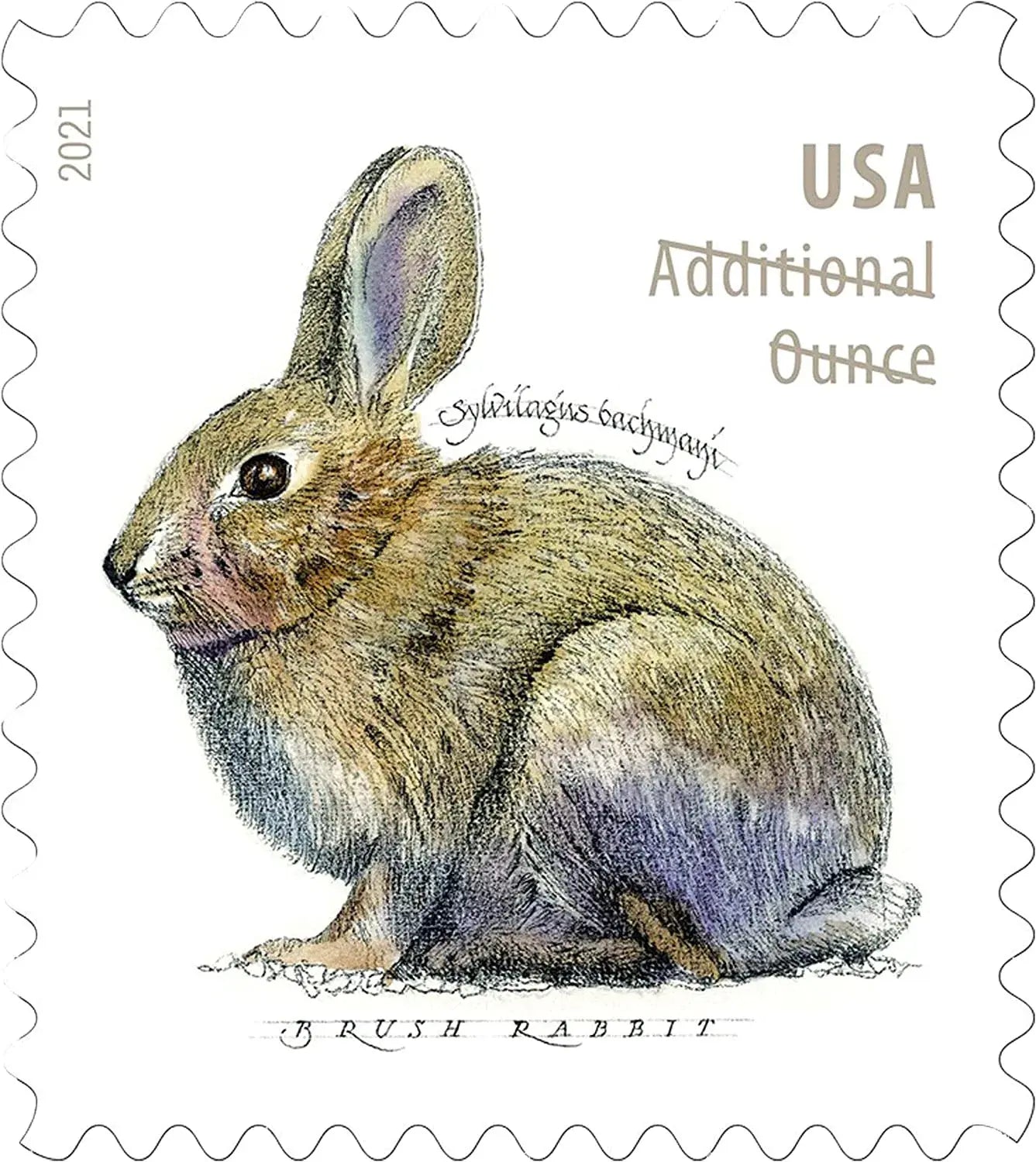 2021 Brush Rabbit Additional Ounce set of 5booklets Stamps