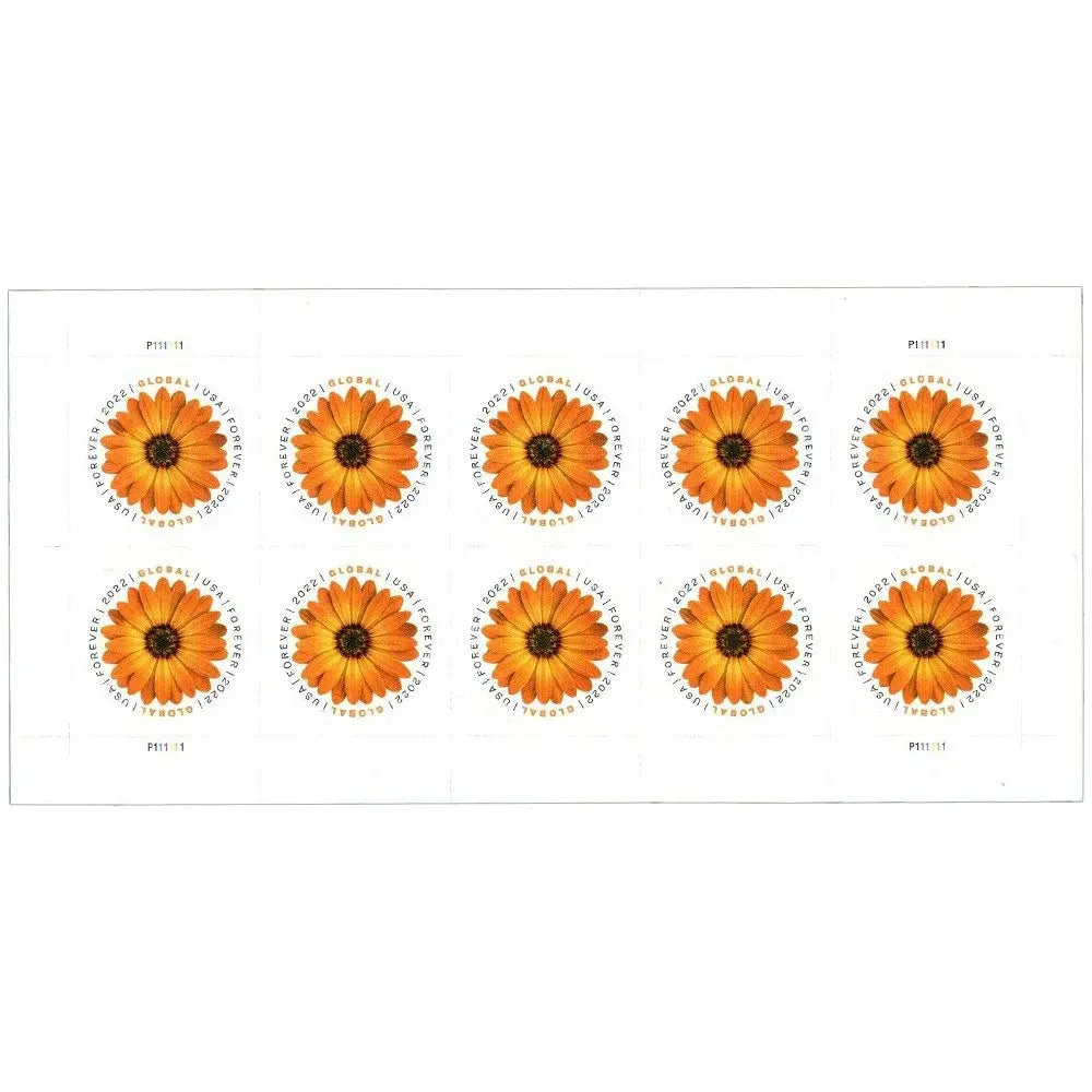 2022 Global Forever African Daisy set of 5booklets Stamp