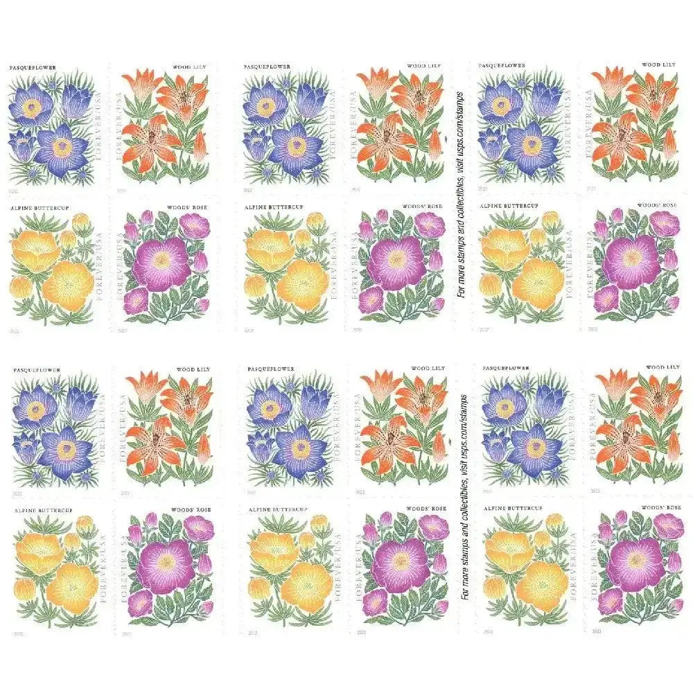 2022 US Mountain Flora First-Class Forever set of 5booklets Stamps