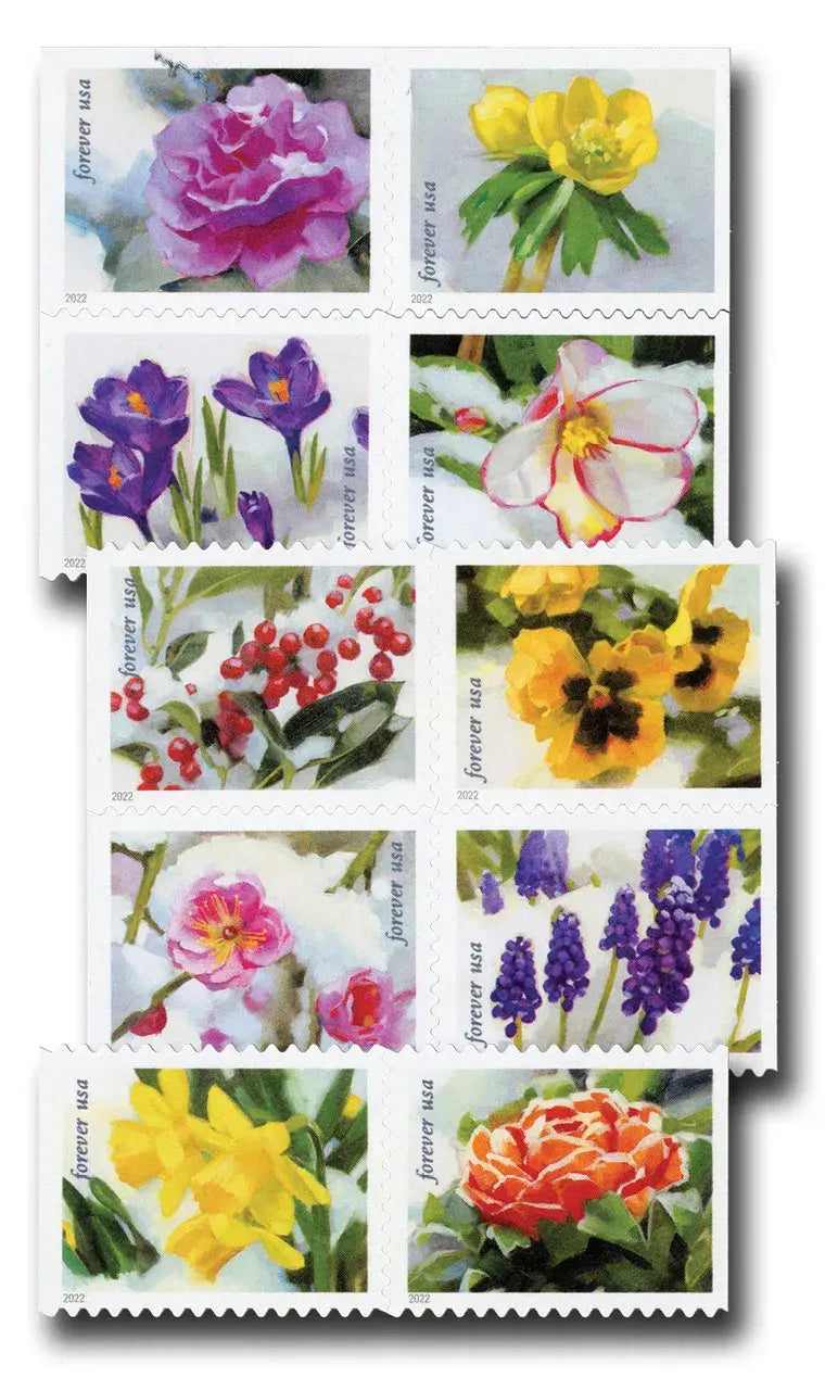 2022 US Snowy Garden Beauty set of 5booklets Stamps
