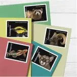 2023 US Endangered Species set of 5booklets Stamps