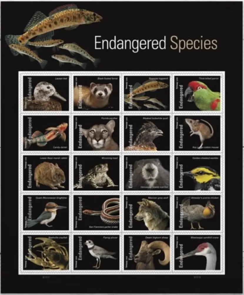2023 US Endangered Species set of 5booklets Stamps