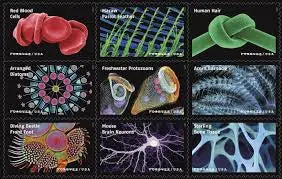 2023 Life Magnified Explores Life on Earth set of 5booklets Stamps