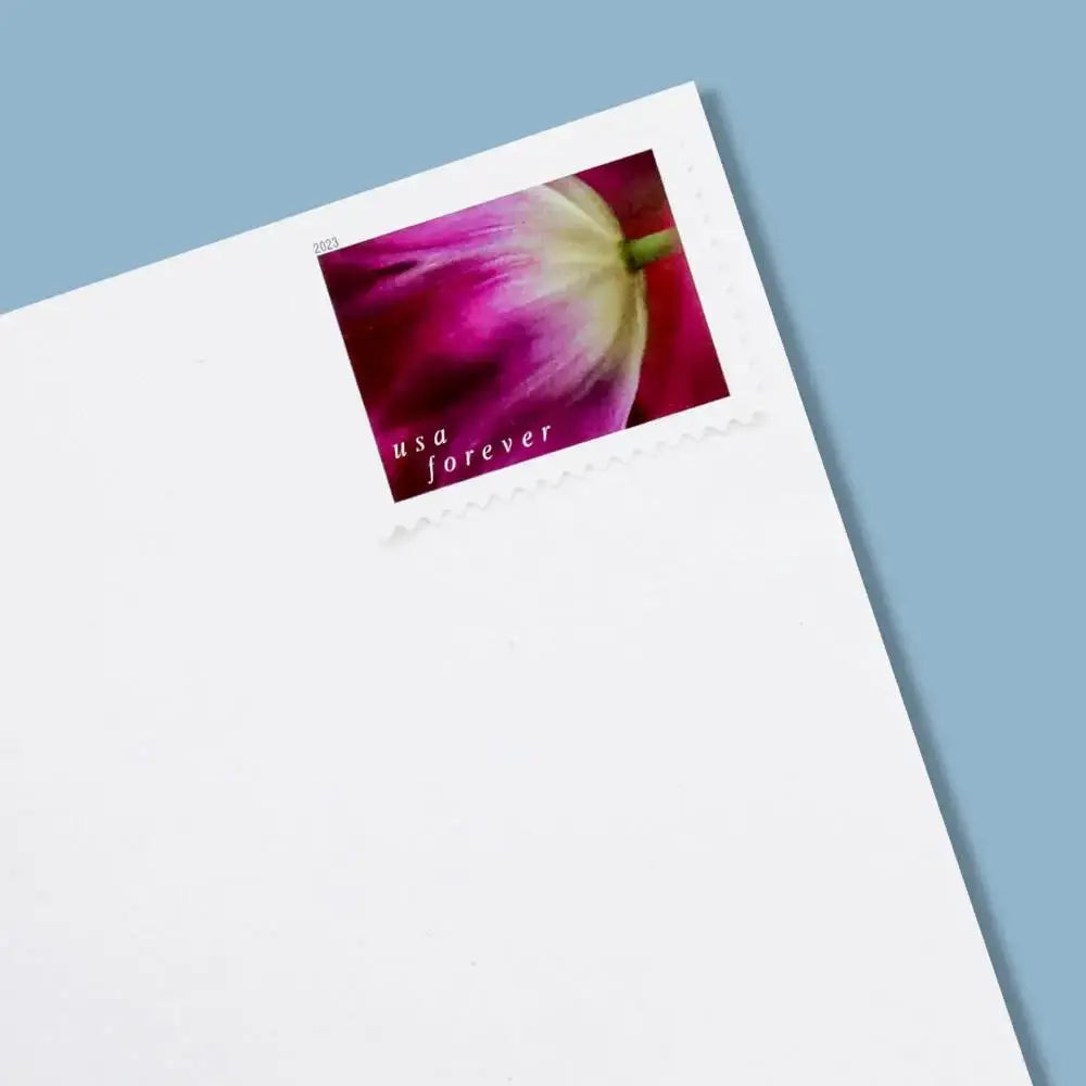 2023 US Tulip Blossoms set of 5booklets Stamps