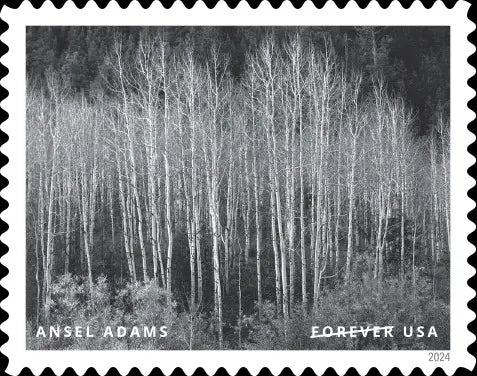 2024 us forever Ansel Adams set of 5booklets stamps