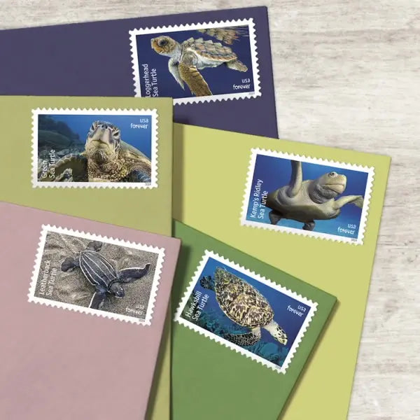 2024 Protect Sea Turtles set of 5booklets Stamps
