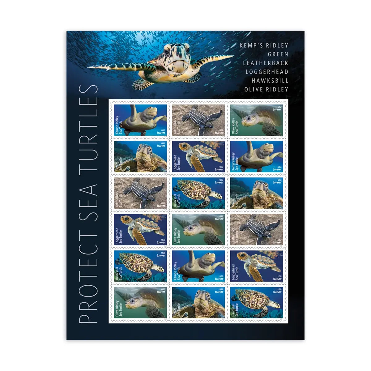 2024 Protect Sea Turtles set of 5booklets Stamps