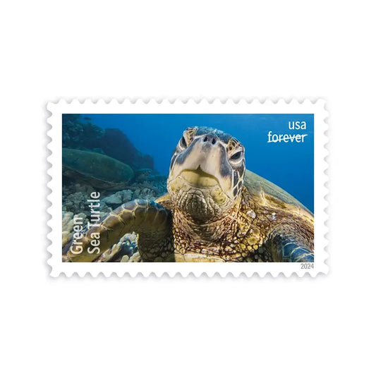 2024 Protect Sea Turtles set of 5booklets Stamps
