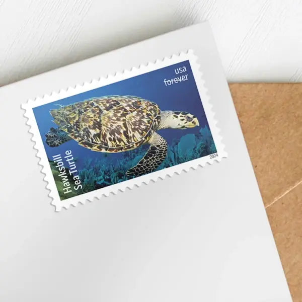 2024 Protect Sea Turtles set of 5booklets Stamps