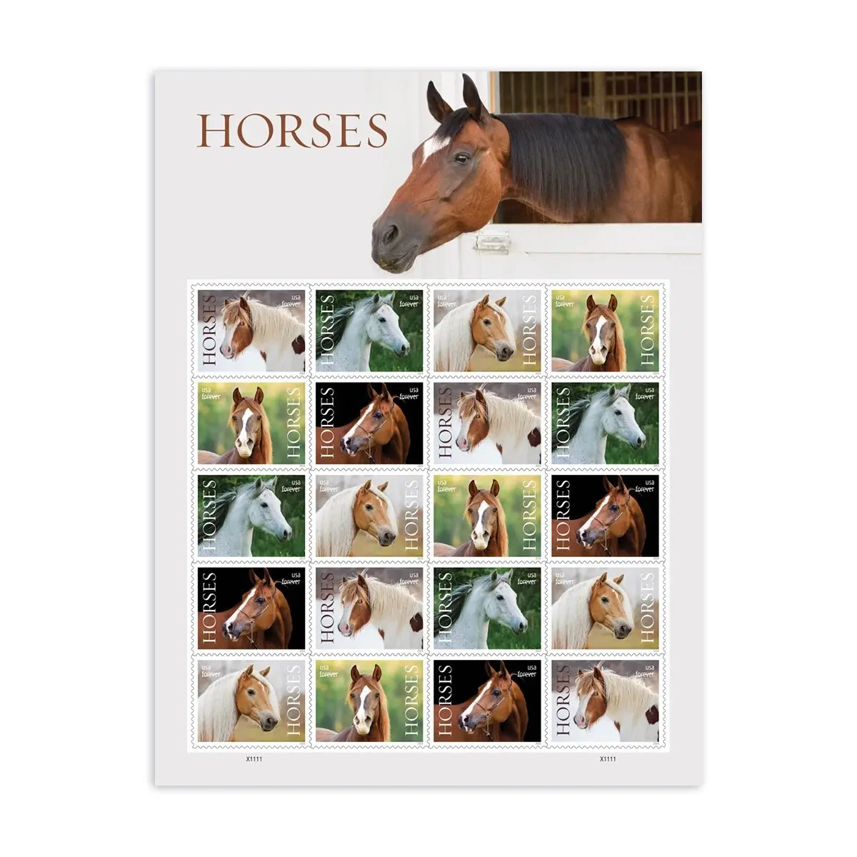 2024 Horses Stamps forever set of 5booklets stamps