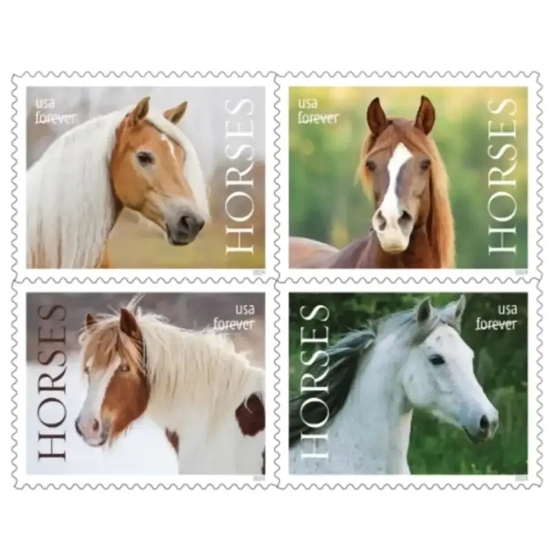 2024 Horses Stamps forever set of 5booklets stamps
