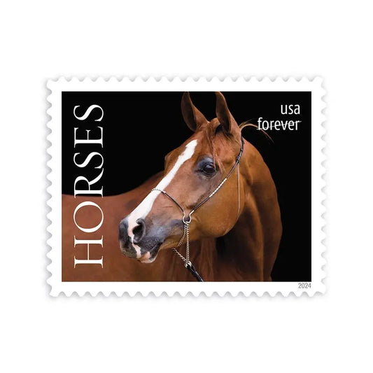 2024 Horses Stamps forever set of 5booklets stamps