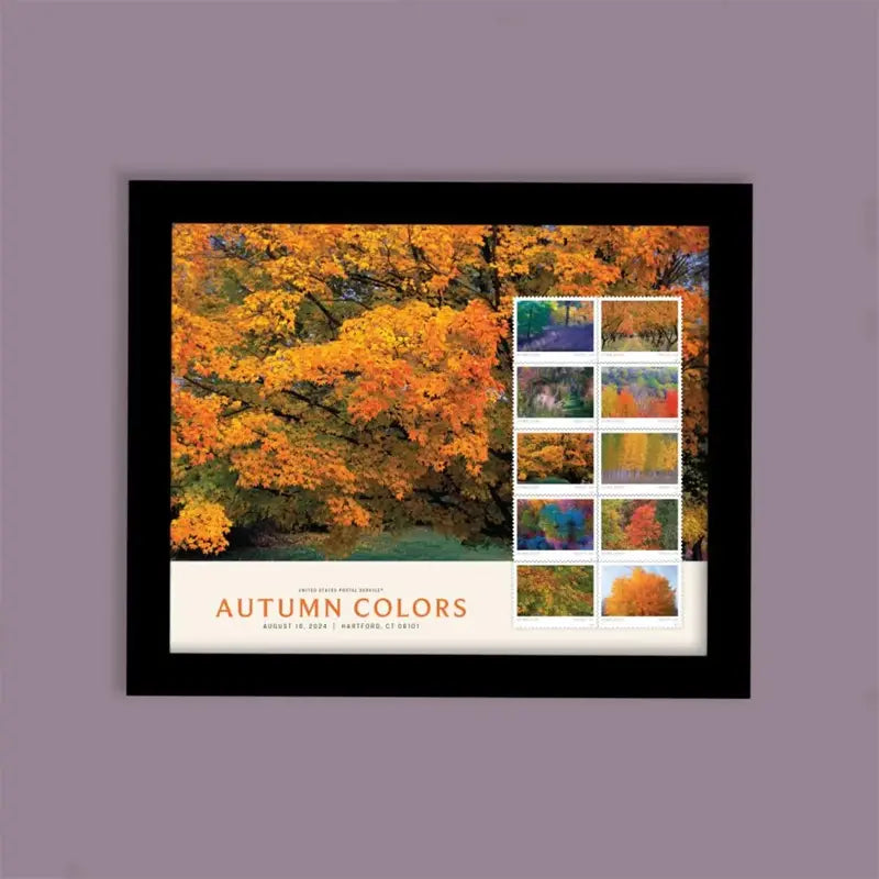 2024 US Autumn Colors Forever set of 5booklets Stamps