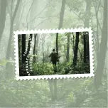 2025 The Appalachian Trail Forever set of 5booklets Stamps