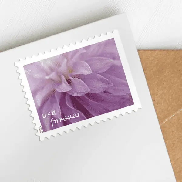 2025 Dahlias set of 5booklets Stamps