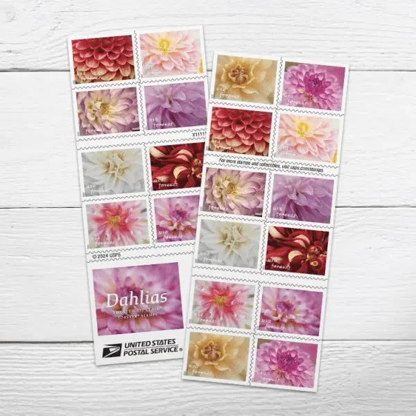 2025 Dahlias set of 5booklets Stamps